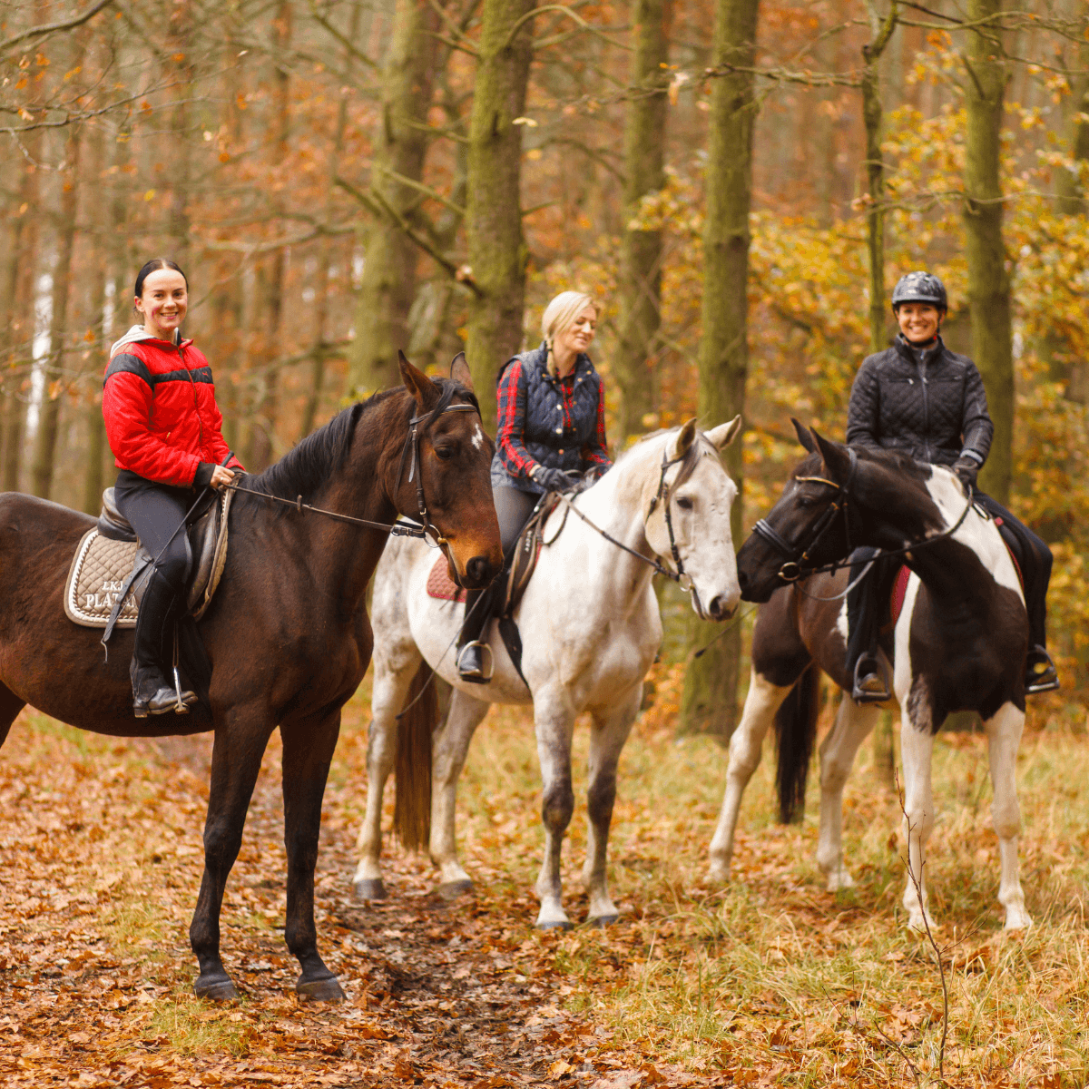Cabalgatas